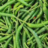 Green Chilli