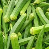 Lady’s Finger/Okra