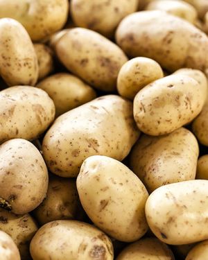 Potato