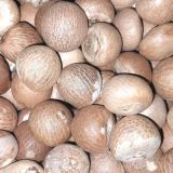 Betel Nut