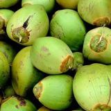 Green-Coconut