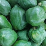Green Papaya