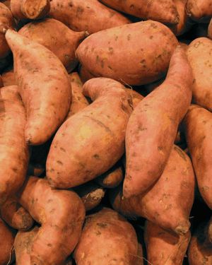 Sweet Potato