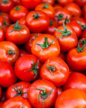 Tomato